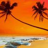 Sunset Tropical Palm Paint By Number