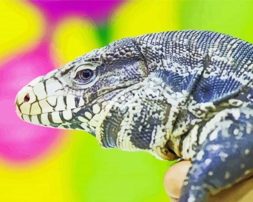 Tegu Lizard Reptile Paint By Number