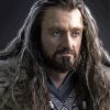 The Hobbit Thorin Oakenshield Paint By Number