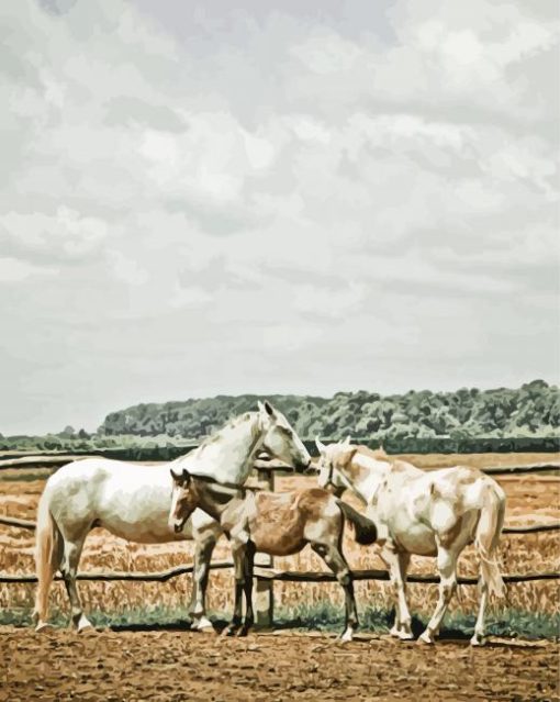 Vinatge Ranch And Horses Paint By Number