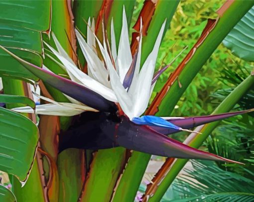 White Bird Of Paradise Paint By Number