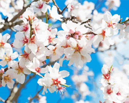 White Blooming Trees Paint By Number