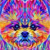 Colorful Pomeranian Dog Art Paint By Number