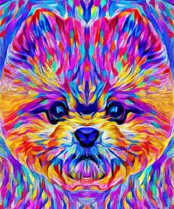 Colorful Pomeranian Dog Art Paint By Number