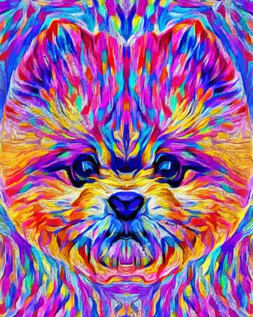 Colorful Pomeranian Dog Art Paint By Number