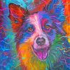 Colorful Border Collie Art Paint By Number