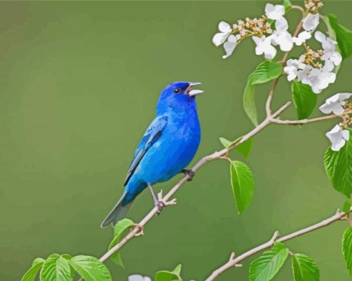 Indigo Bunting Paint By Number