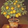 Lemon Tree Paint By Number