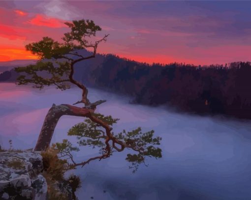 Misty Sunrise Forest Paint By Number