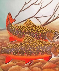 The Brook Trout Fish Paint By Number