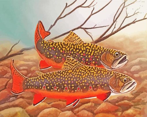 The Brook Trout Fish Paint By Number