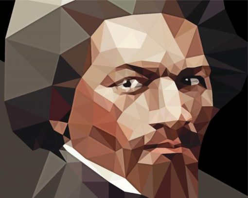 Abstract Frederick Douglass Paint By Number