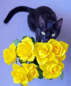 Beautiful Black Cats And Flowers Paint By Number