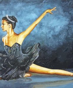 Black Swan Barry J Davis Paint By Number