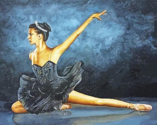 Black Swan Barry J Davis Paint By Number