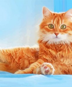 Cute Siberian Cat Paint By Number