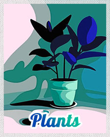 Plants