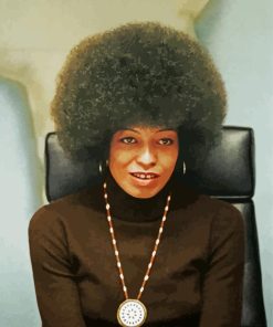 Angela Davis American Activist Paint By Numbers