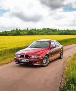 BMW E39 Car Paint By Numbers