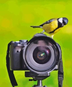 Bird On Camera Paint By Numbers