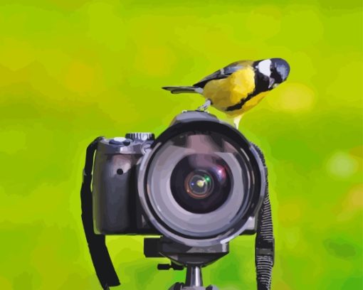 Bird On Camera Paint By Numbers