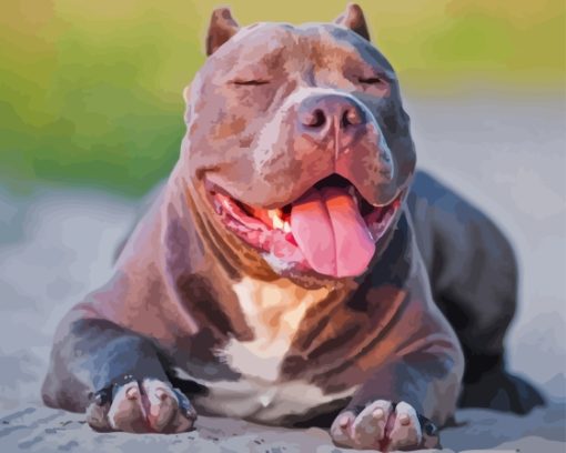 Cool American Bully Paint By Numbers