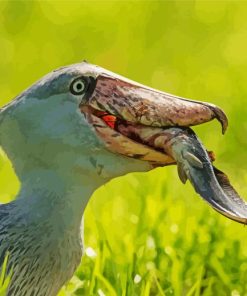 Shoebill Stork Eating Fish Paint By Numbers