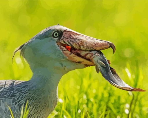 Shoebill Stork Eating Fish Paint By Numbers