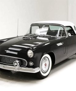 Black 1956 Thunderbird Car Paint By Numbers