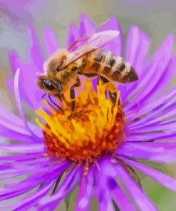 Purple Flower With Bee Paint By Numbers