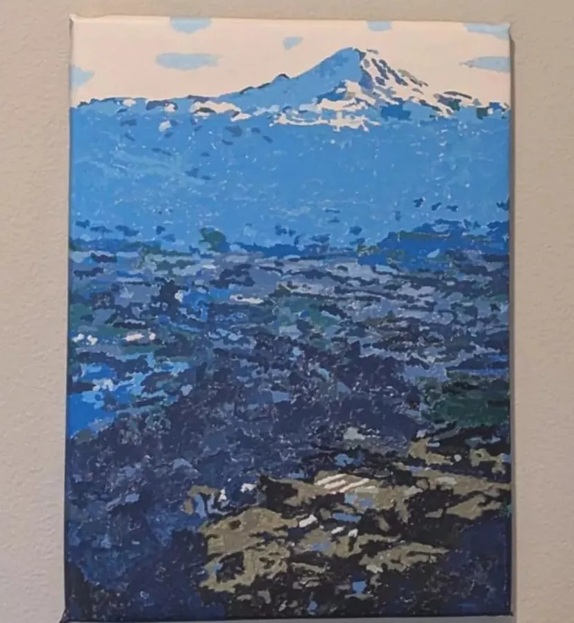 Custom Paint By Numbers​ Landscape rev 1
