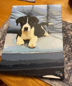 Paint By Numbers Custom​ Pets gall